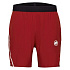 Kraťasy Mammut Aenergy TR Shorts Men