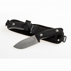 LionSteel M2 G10