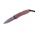 LionSteel 8800D-CB Opera Damascus