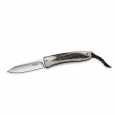 LionSteel  8810 CE Big Opera Classi čepel D2 rukojeť beraní roh
