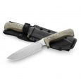 LionSteel M7 CVG