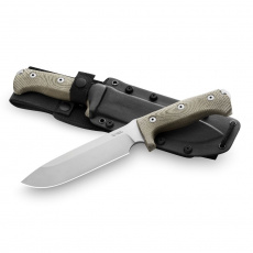 LionSteel M7 CVG