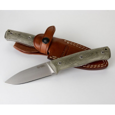 LionSteel B35 CVG