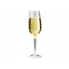 Plastová sklenice GSI Champagne Flute Plastová sklenice GSI Champagne Flute