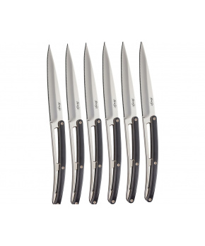 Deejo 6AB504 sada 6 příborových nožů Table,vysoký lesk,ebenové dřevo,zubaté ostří Deejo 6AB504 sada 6 příborových nožů Table,vysoký lesk,ebenové dřevo,zubaté ostří