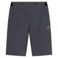 Kraťasy La Sportiva Trail Guard Shorts M