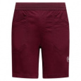 Kraťasy La Sportiva Roots Shorts M