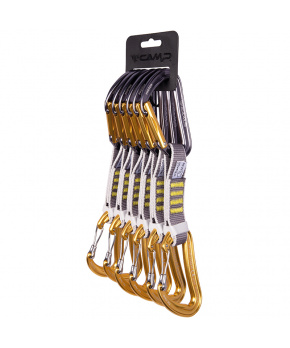 Camp Dyon Mixed Express KS 6 Pack; 12 cm