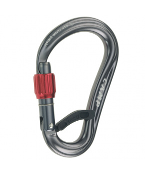 Karabina Camp Atom Belay Lock