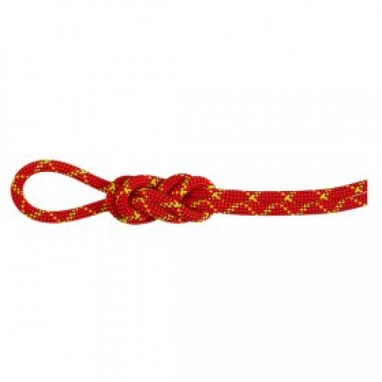 Lano Mammut 8.0 Alpine Core Protect Dry Rope
