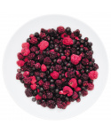 Ovocná Směs Wild Berry Mix Lyo Food