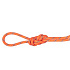 Lano Mammut 7.5 Alpine Sender Dry Rope