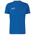 Triko krátký rukáv Mammut Mountain T-Shirt Men Bluemlisalphorn 50665 tschiel