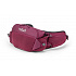 Rab Protium 6 mulberry/MUL ledvinka