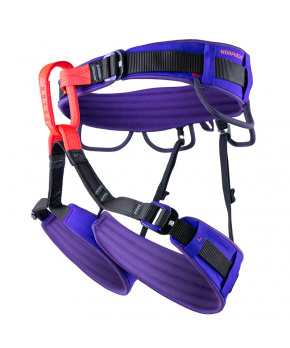 Beal Morpheus Beal Morpheus