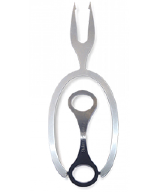 Grilovací dvojzubec Swiss Advance Neptun