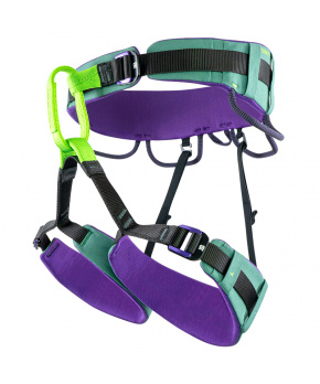 Beal Trinity Beal Trinity