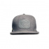 APEarel Dropback Snapback Grey