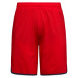 Kraťasy La Sportiva Sudden Short M