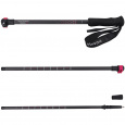 Camp Backcountry Carbon W Segment