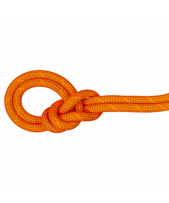 Mammut 9.8 Crag Dry Rope– dynamické horolezecké lano