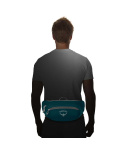 Ledvinka Osprey Daylite Waist 2 L Meadow gray/Histosol brown