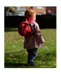 Batoh Littlelife Animal Toddler Backpack Ladybird 2l