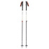 Hole Black Diamond EXPEDITION 2 SKI POLES 