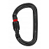 Petzl Karabina Petzl Am´D Screw-Lock barva Černá