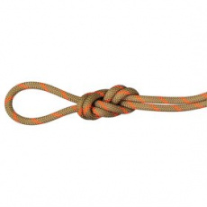 Lano Mammut 8.0 Alpine Dry Rope Boa-safety orange 11240 Lano Mammut 8.0 Alpine Dry Rope Boa-safety orange 11240