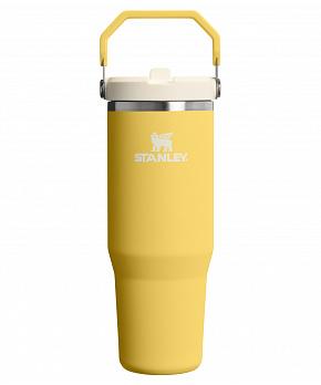STANLEY Termoláhev s integrovanou slámkou The IceFlow™ Flip Straw 2.0 Tumbler 890 ml/30oz Daffodil