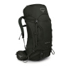 Osprey Kestrel 48 Picholine Green