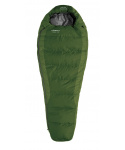 Campout Spruce